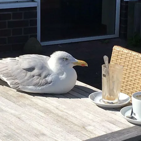 Location Апартаменти Сопот