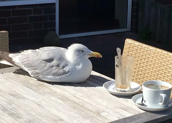 Location Apartment Sopot